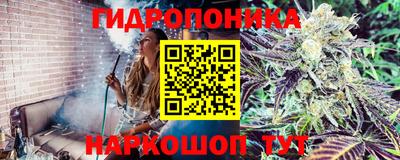 синтетический гашиш Абинск